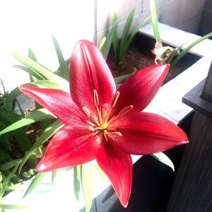 Meet your Posher, Sylvia